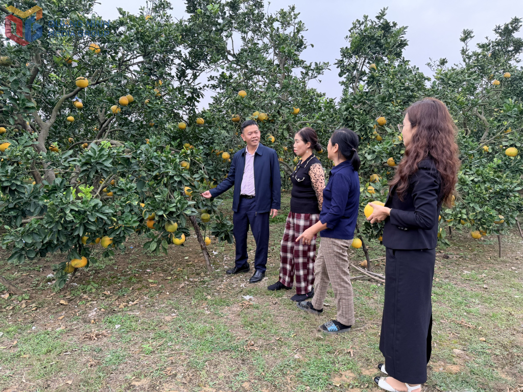 Quảng Ninh: Gần 2.400 người lao động được vay vốn theo mức mới