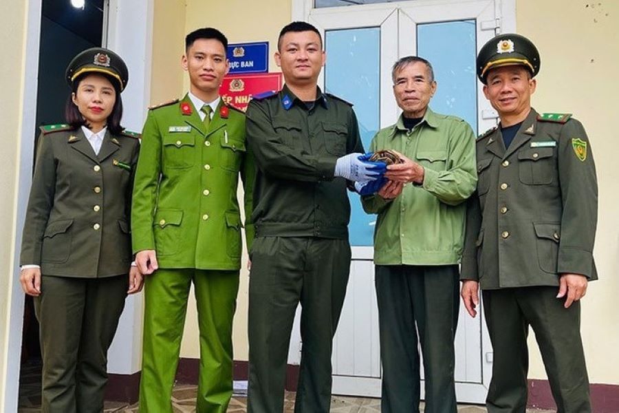 Hà Tĩnh: Người dân giao nộp cá thể rùa núi vàng quý hiếm