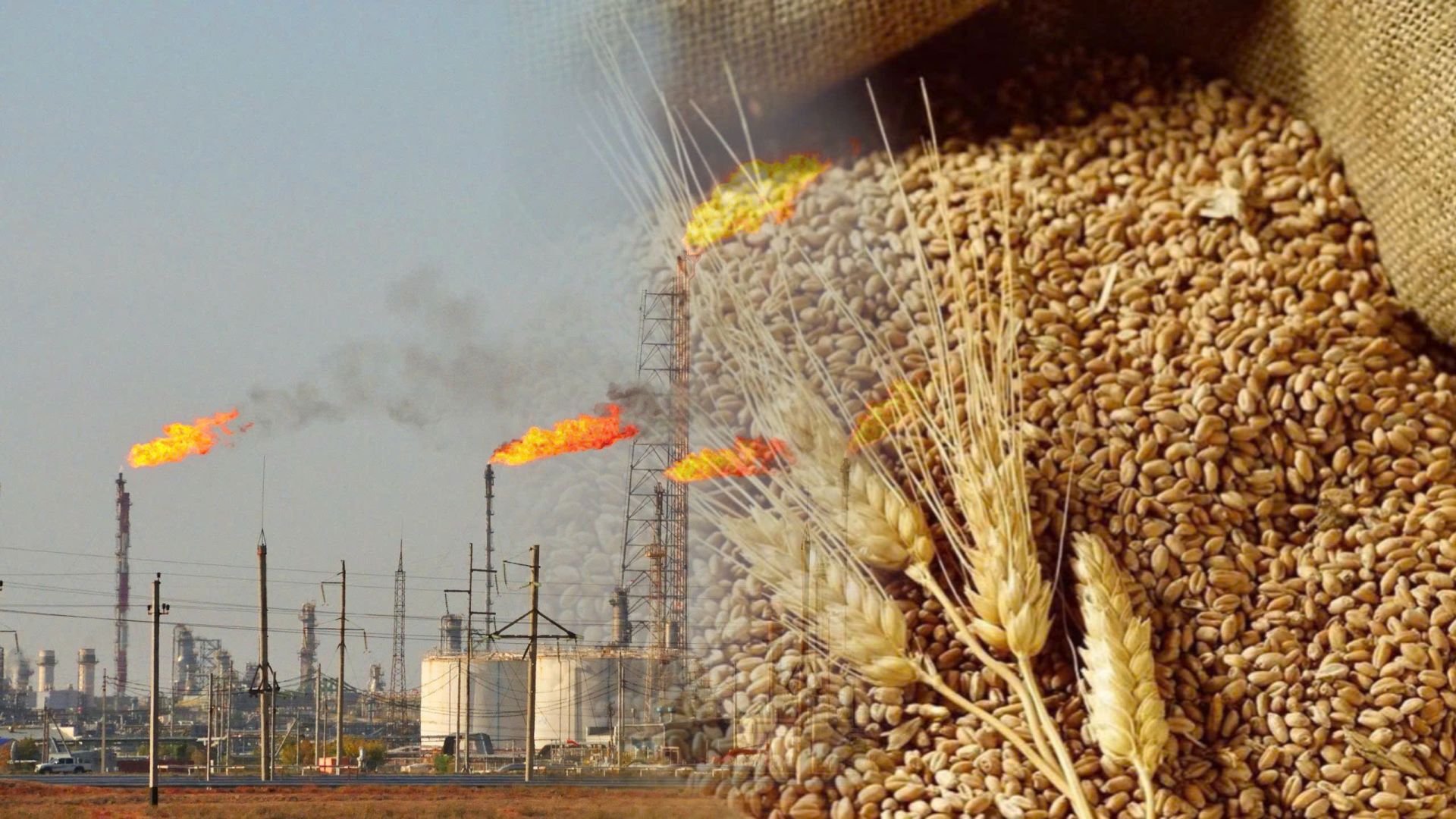 Thị trường hàng hóa ‘đỏ lửa”, MXV-Index lao xuống vùng 2.400 điểm