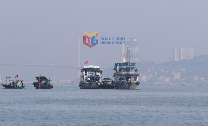 T&agrave;u vi phạm cặp mạn giữa 2 t&agrave;u du lịch để b&aacute;n h&agrave;ng, ng&agrave;y 14/1/2026