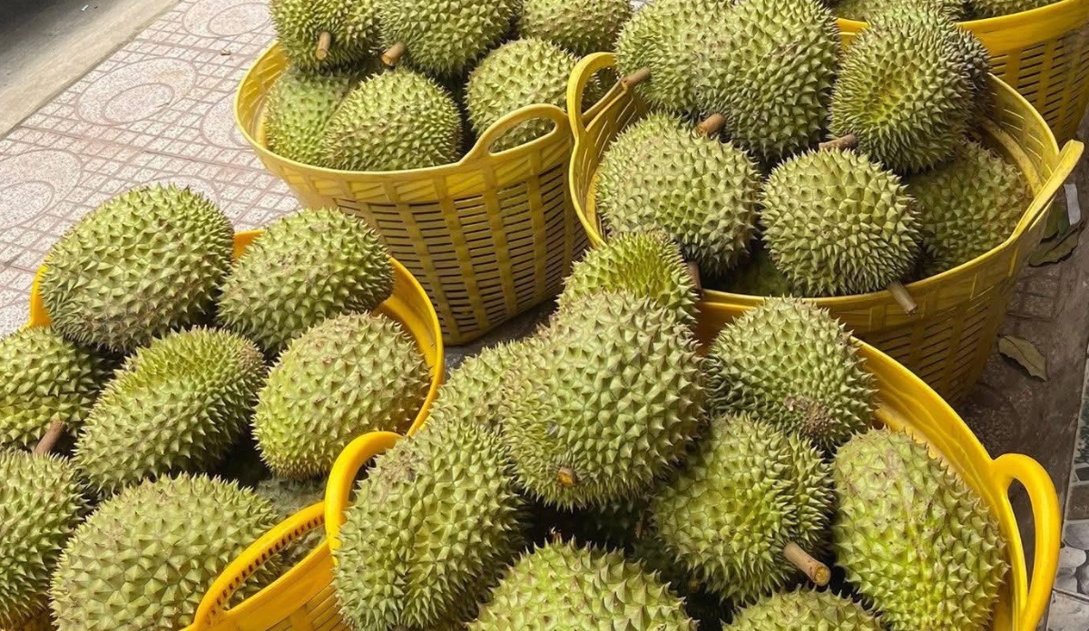 Đài Loan tăng cường kiểm soát sầu riêng nhập từ Việt Nam vì lo ngại dư lượng hóa chất