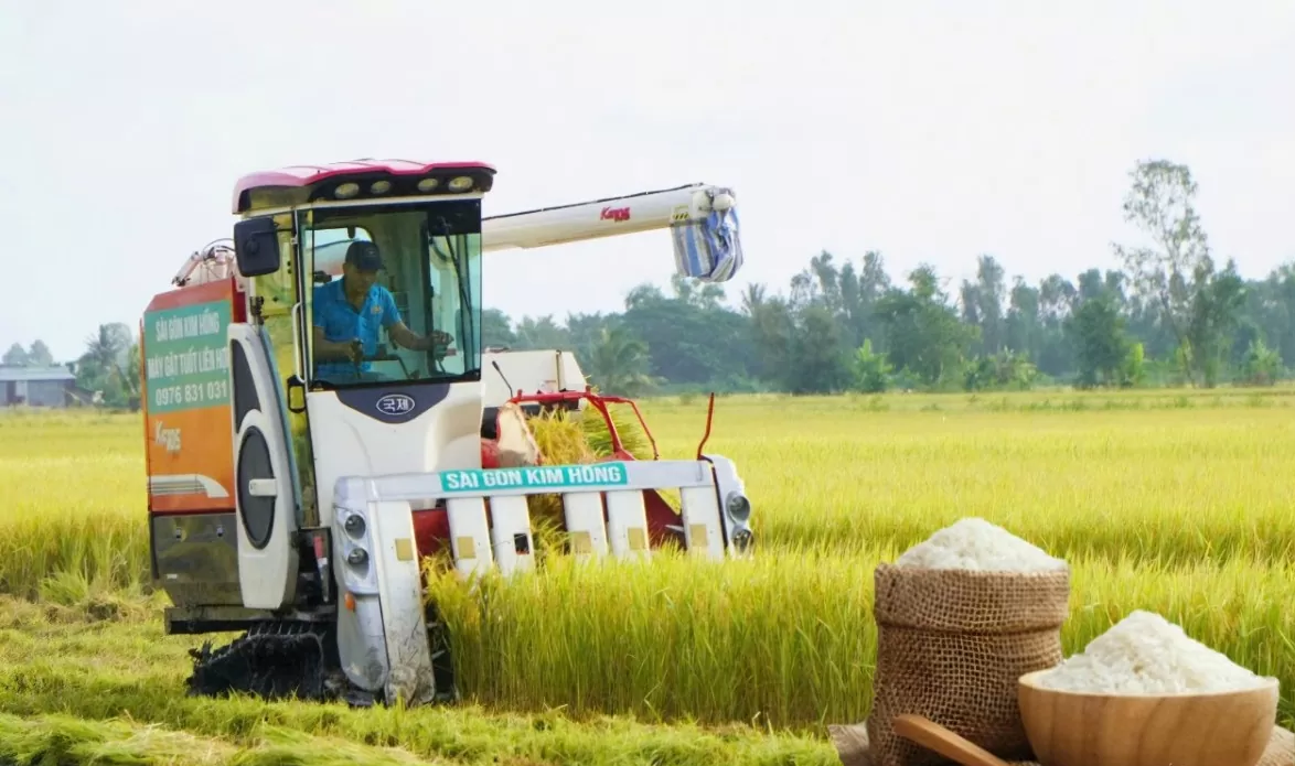 Gi&aacute; l&uacute;a gạo h&ocirc;m nay 4/2: L&uacute;a tươi vững gi&aacute;, gạo đi ngang (Ảnh minh họa)