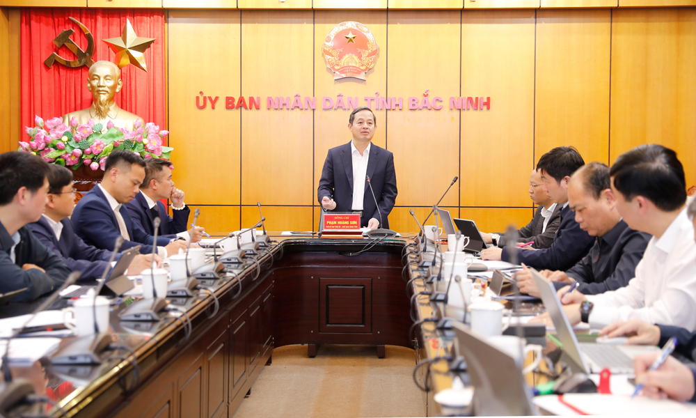 Đồng ch&iacute; Phạm Ho&agrave;ng Sơn ph&aacute;t biểu chỉ đạo.