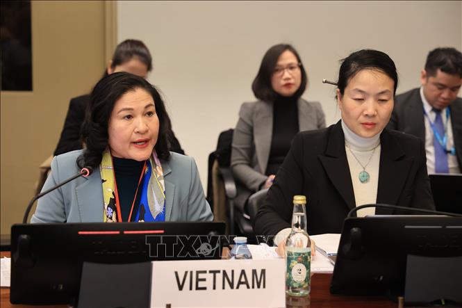 Việt Nam khẳng định vị thế và cam kết chiến lược tại Phiên đối thoại với Ủy ban CEDAW