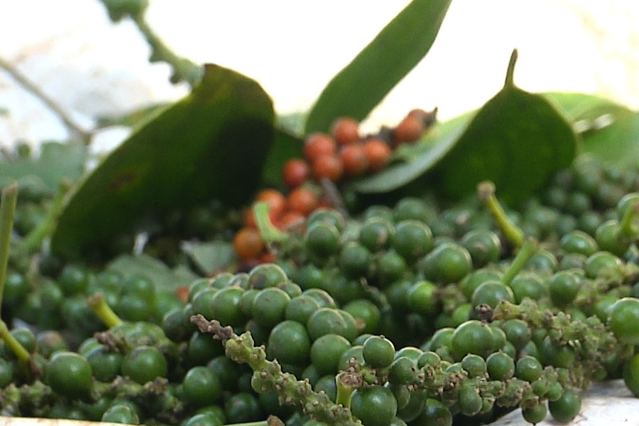 Gi&aacute; ti&ecirc;u h&ocirc;m nay 5/2: Quay đầu giảm nhẹ (Ảnh minh họa)