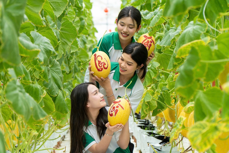 Sinh vi&ecirc;n TTU trong hoạt động vẽ thư ph&aacute;p l&ecirc;n dưa lưới