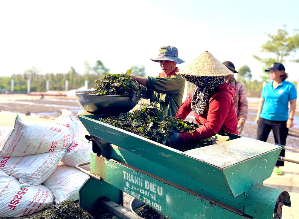 Việt Nam xuất khẩu 21.743 tấn hồ tiêu trong tháng 1/2026