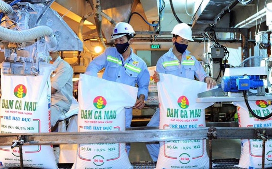 DCM bứt phá lợi nhuận quý IV/2025, Yuanta Việt Nam duy trì khuyến nghị mua, giá mục tiêu 47.700 đồng