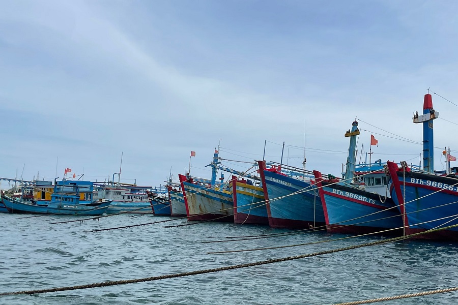 T&agrave;u c&aacute; neo đậu tại v&ugrave;ng biển L&acirc;m Đồng