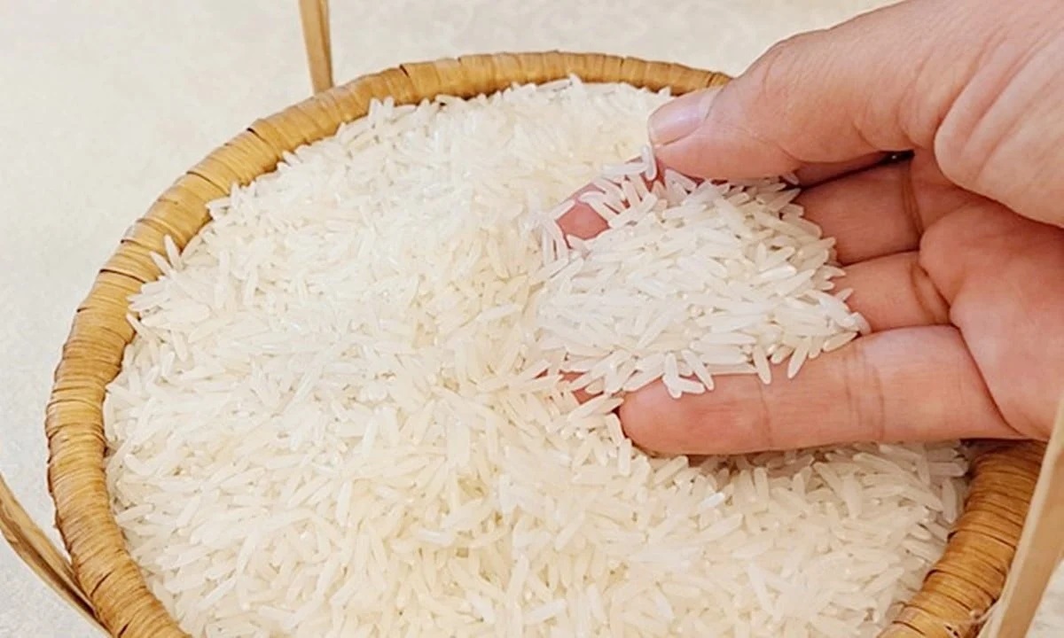 Gi&aacute; l&uacute;a gạo h&ocirc;m nay 6/2: Thị trường đi ngang, gạo xuất khẩu giữ ổn định (Ảnh minh họa)