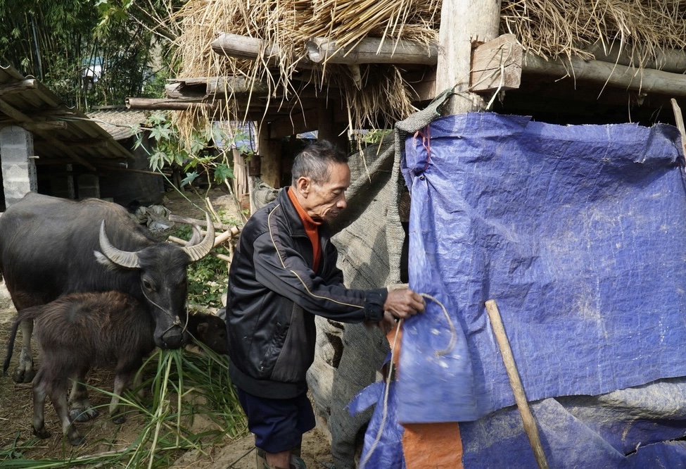 Thanh Hoá khẩn trương triển khai các biện pháp chủ động ứng phó với đợt rét đậm, rét hại