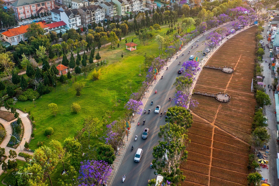 Một g&oacute;c trung t&acirc;m Đ&agrave; Lạt