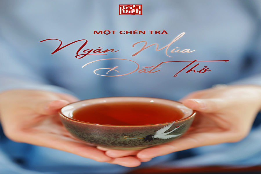 Trí Việt - Kết tinh tinh hoa trà Việt