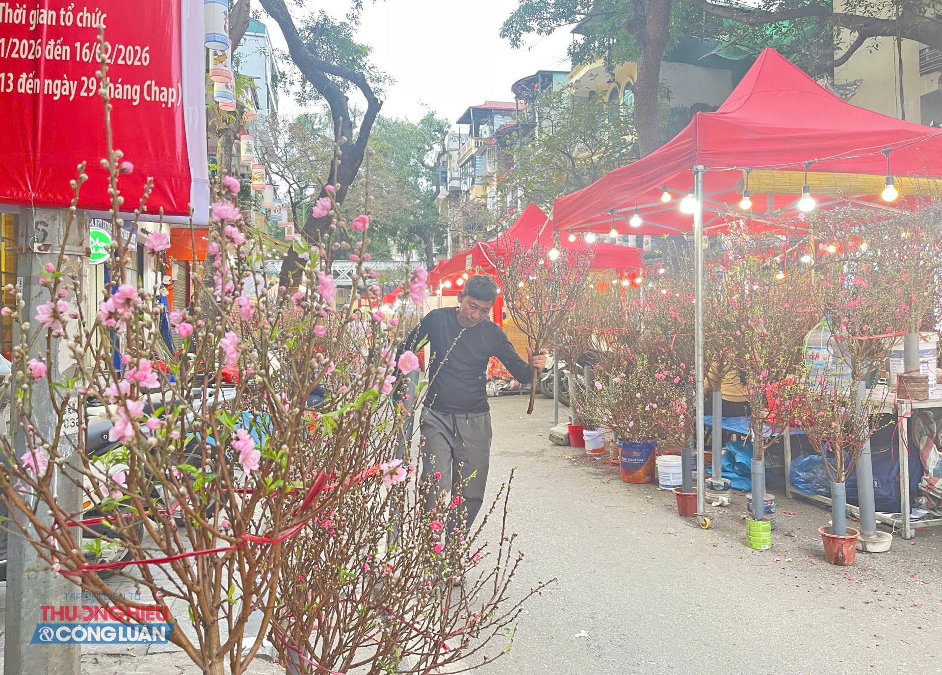 Chợ hoa Hàng Lược - nét văn hóa Tết trăm năm giữa lòng Hà Nội