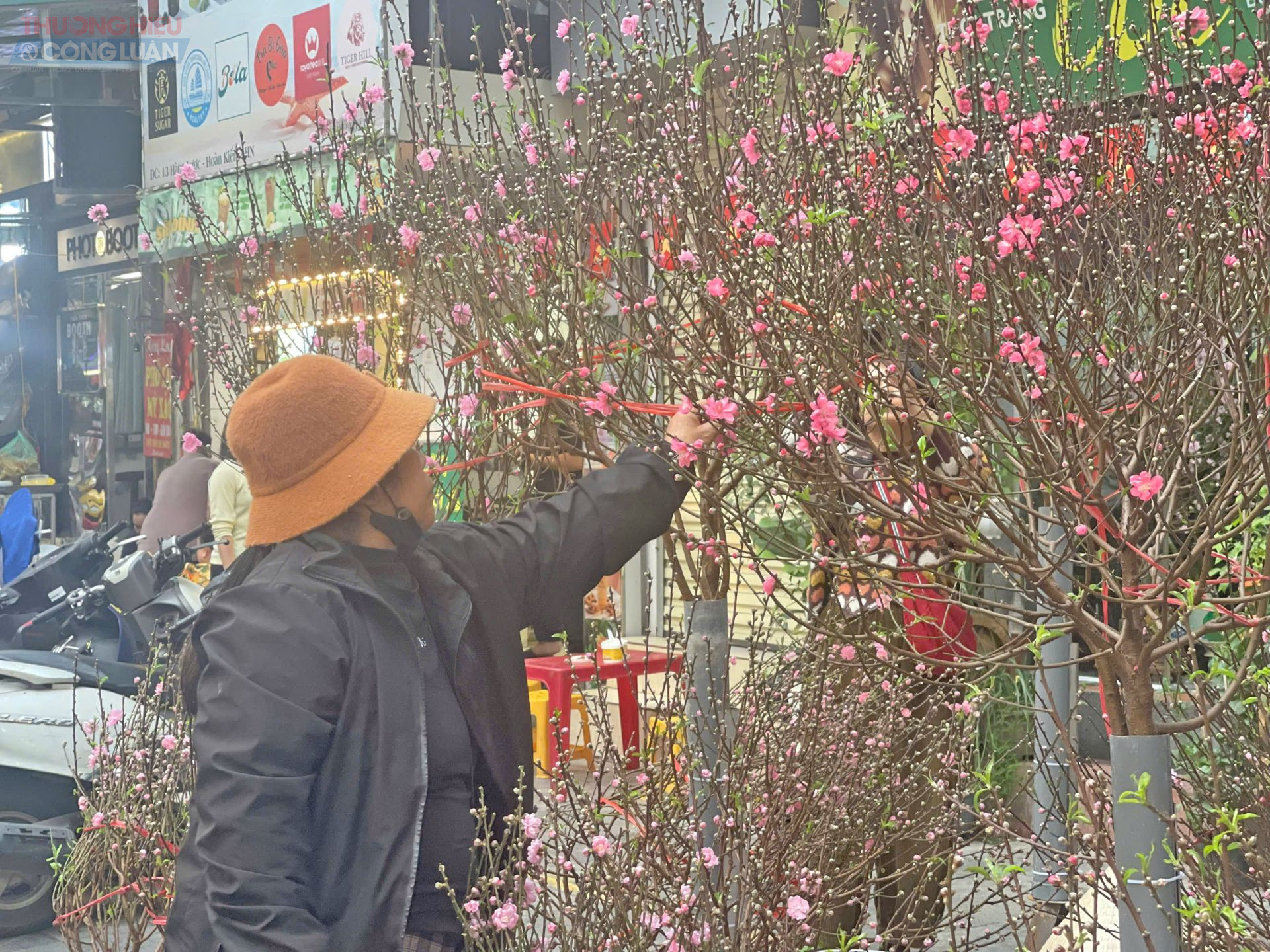 Người d&acirc;n Thủ đ&ocirc; sắm đ&agrave;o chơi Tết sớm