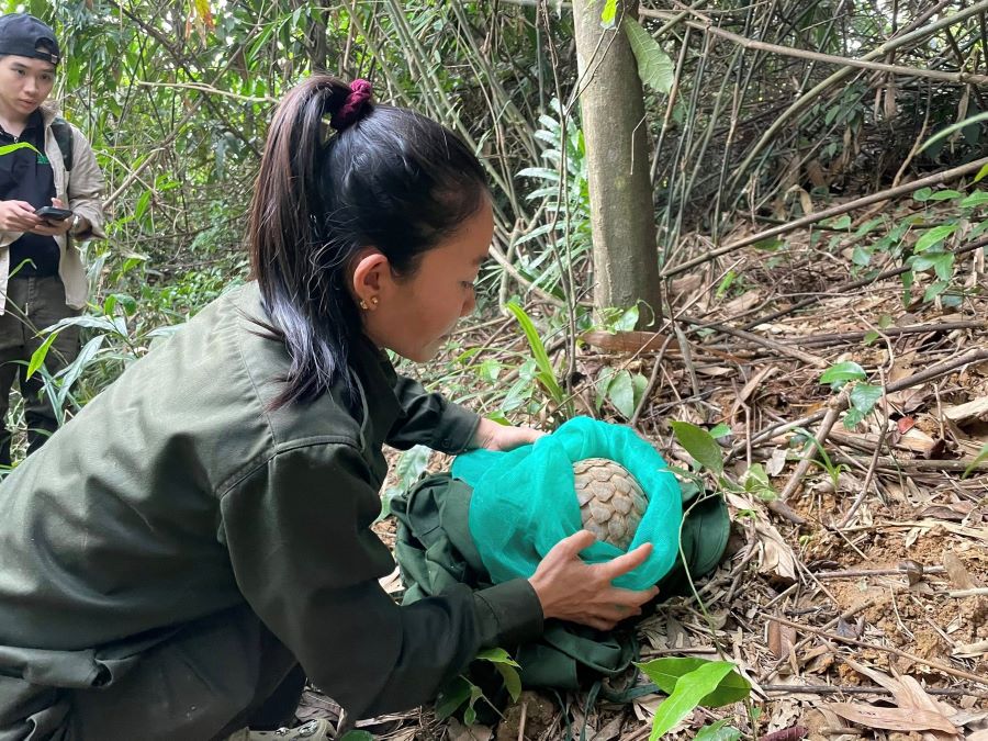 Thả c&aacute;c c&aacute; thể t&ecirc; t&ecirc; vuốt b&eacute; về m&ocirc;i trường tự nhi&ecirc;n