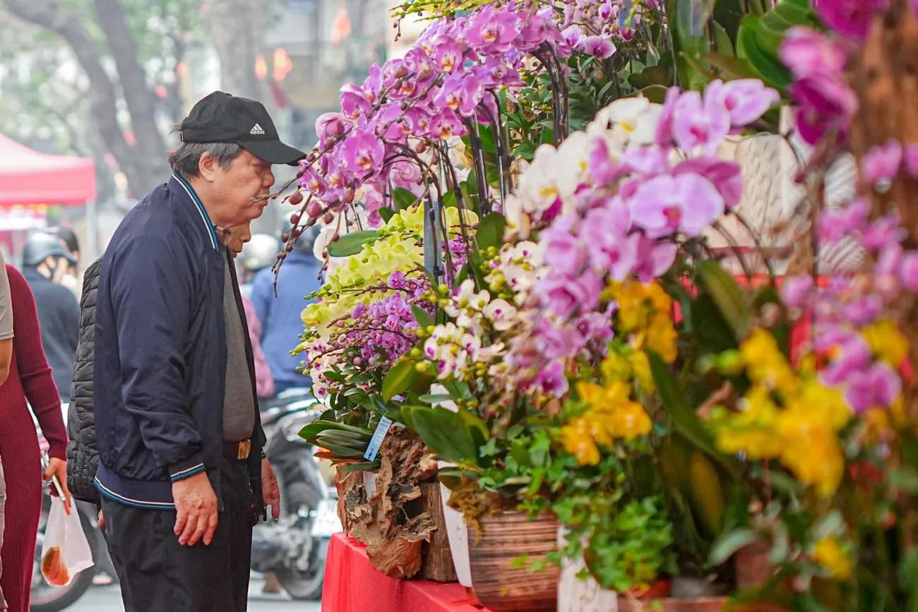 Sắc Xu&acirc;n lan tỏa trong kh&ocirc;ng gian phố cổ v&agrave; di sản, mang đến trải nghiệm Tết gần gũi, gi&agrave;u bản sắc.