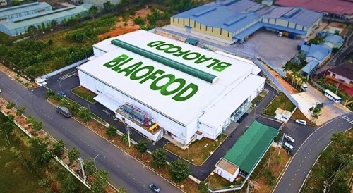 Antesco lên kế hoạch chi cổ tức sau khi vừa lên sàn HOSE