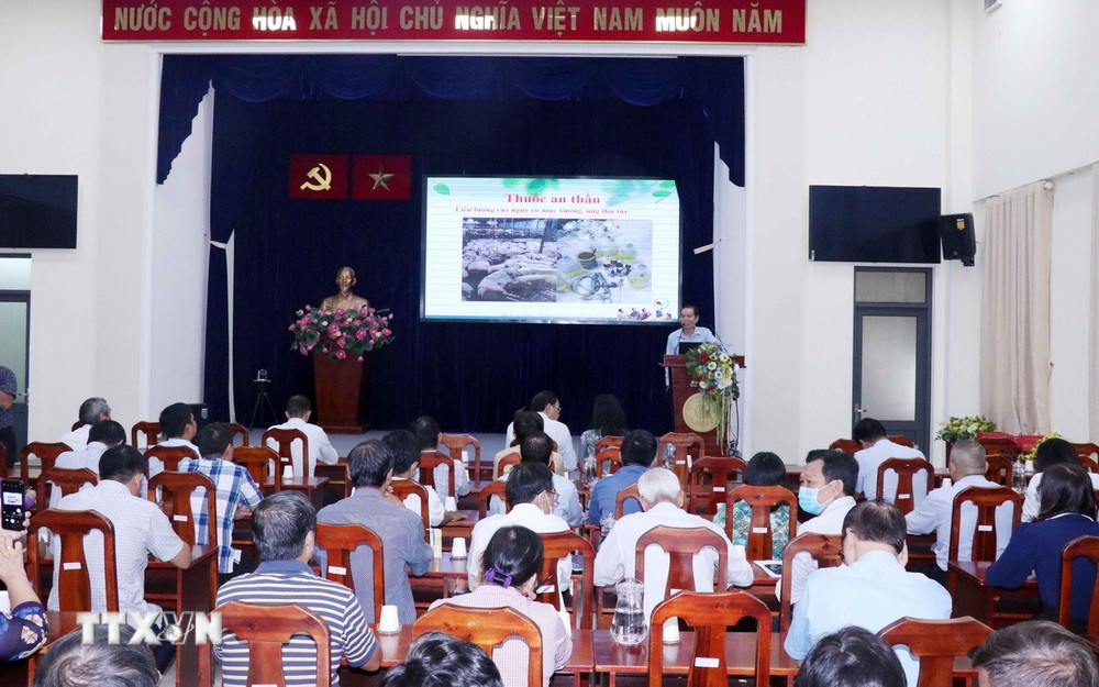 Chuẩn hóa đội ngũ cán bộ Mặt trận và đoàn thể giai đoạn 2026-2031