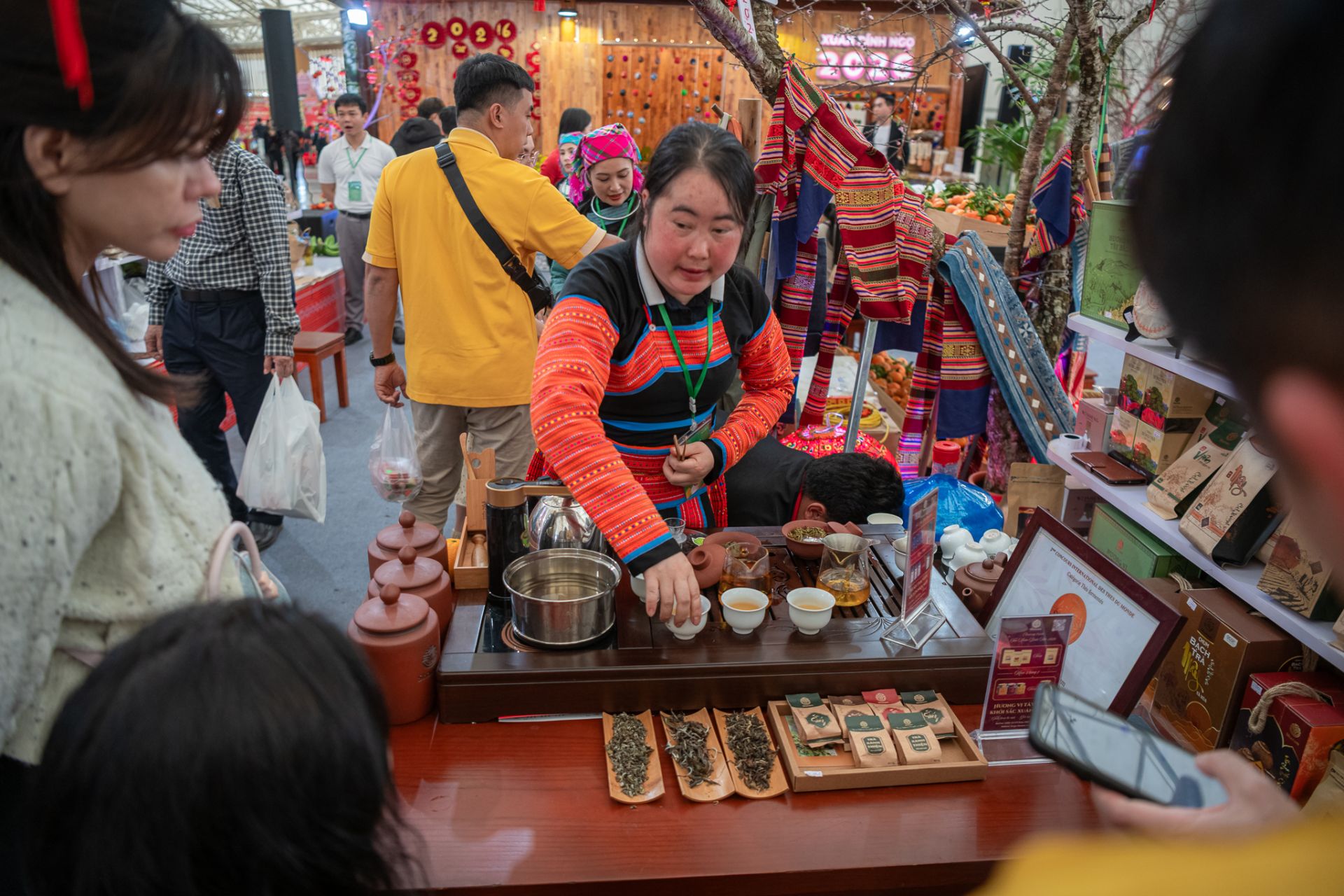 Tr&agrave; Shan Tuyết cổ thụ của tỉnh Sơn La được giới thiệu tới du kh&aacute;ch tham quan