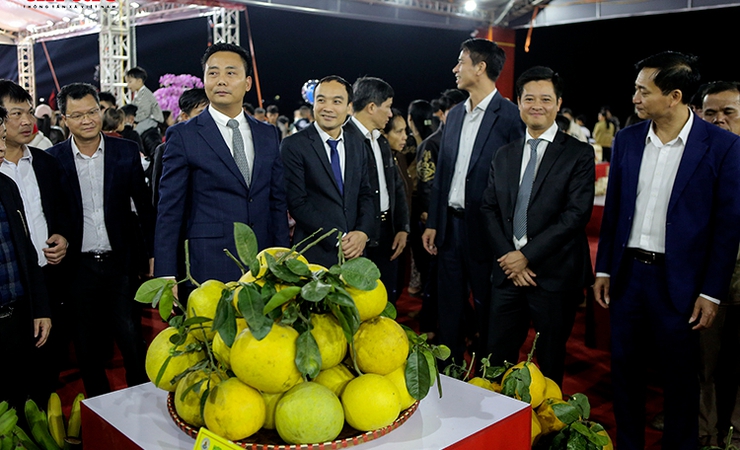 Khai mạc không gian trưng bày sản phẩm tiêu biểu gắn kết hội chợ hoa Xuân Tết Bính Ngọ 2026 tại Minh Châu