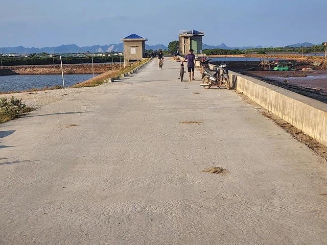 Quy định về quản lý, bảo vệ hệ thống đê cấp IV, V và đê biển tại Thanh Hóa