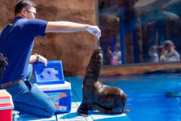 Thủy cung Vinpearl Nha Trang