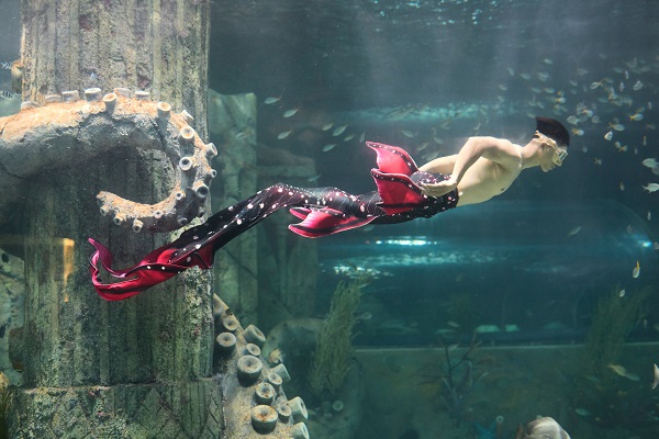 Thủy cung Vinpearl Nha Trang