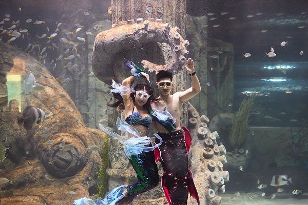 Thủy cung Vinpearl Nha Trang