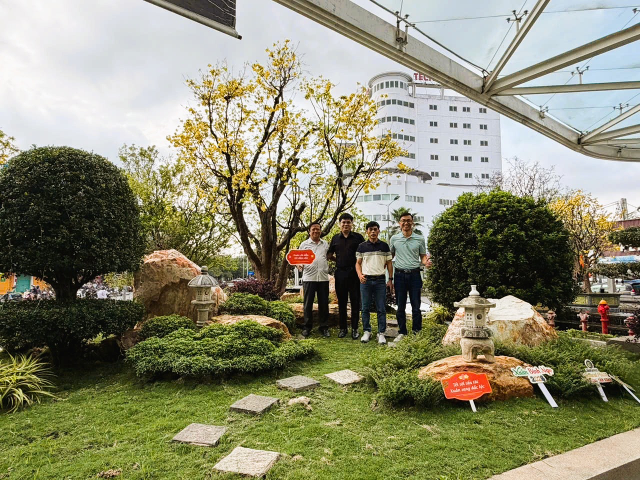 Xuân về, ngắm Hòang mai xứ Huế