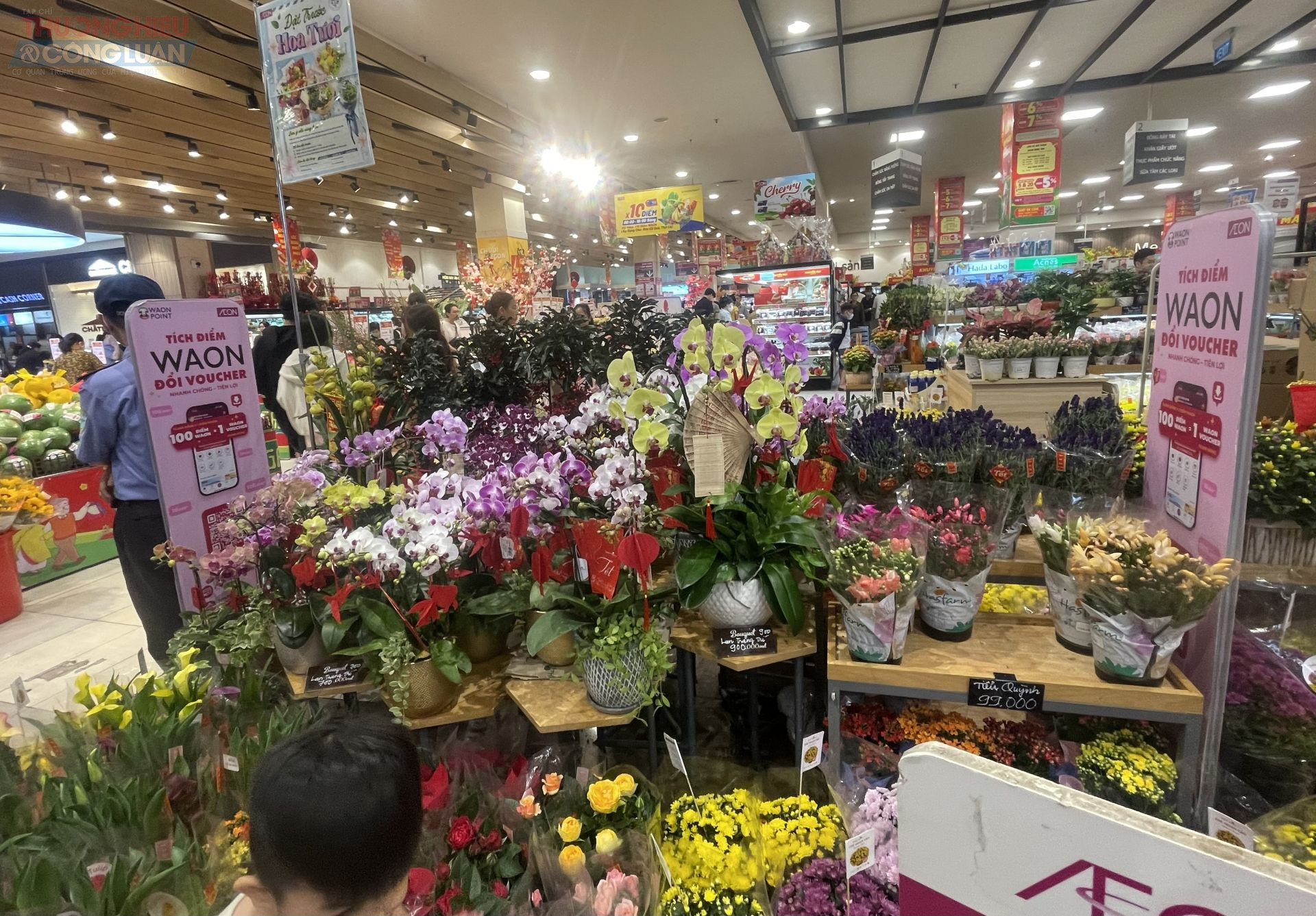 Nhiều loại c&acirc;y cảnh cũng được si&ecirc;u thị b&agrave;y b&aacute;n phục vụ kh&aacute;ch h&agrave;ng.