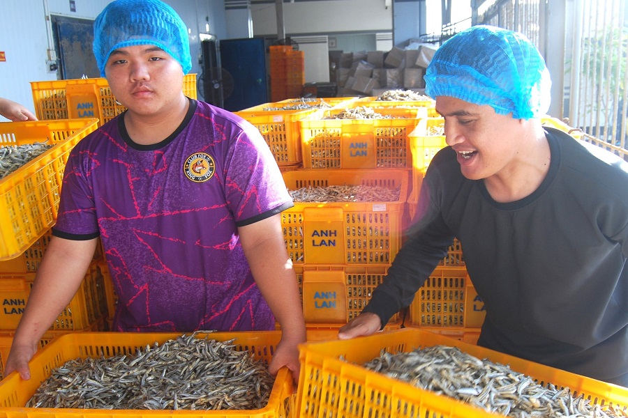 Lâm Đồng: 6 doanh nghiệp chế biến, xuất khẩu hơn 108.000 tấn thủy sản