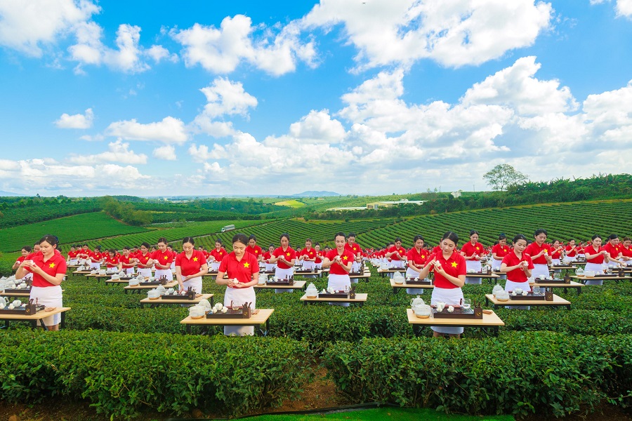 Hoạt động đồng diễn nghệ thuật pha tr&agrave; v&agrave; d&acirc;ng tr&agrave; v&agrave;o s&aacute;ng ng&agrave;y 30/11/2025 ghi nhận sự tham gia của 1.111 tr&agrave; nương của thương hiệu Đ&ocirc;i D&eacute;p thuộc C&ocirc;ng ty CP Ch&egrave; L&acirc;m Đồng Ảnh: Vietkings