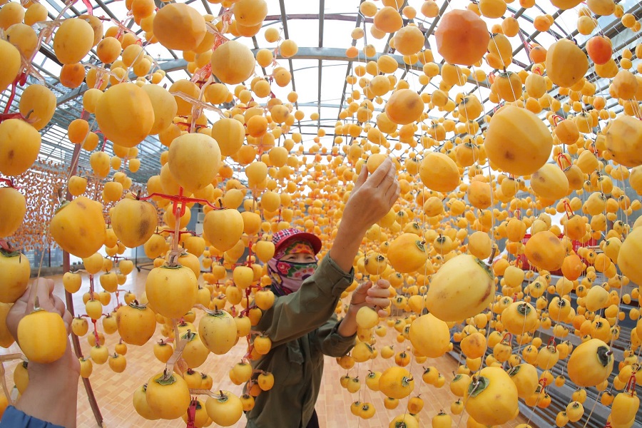 Hồng sấy gi&oacute;, sản vật đặc trưng của Đ&agrave; Lạt. Ảnh: L&ecirc; Th&agrave;nh