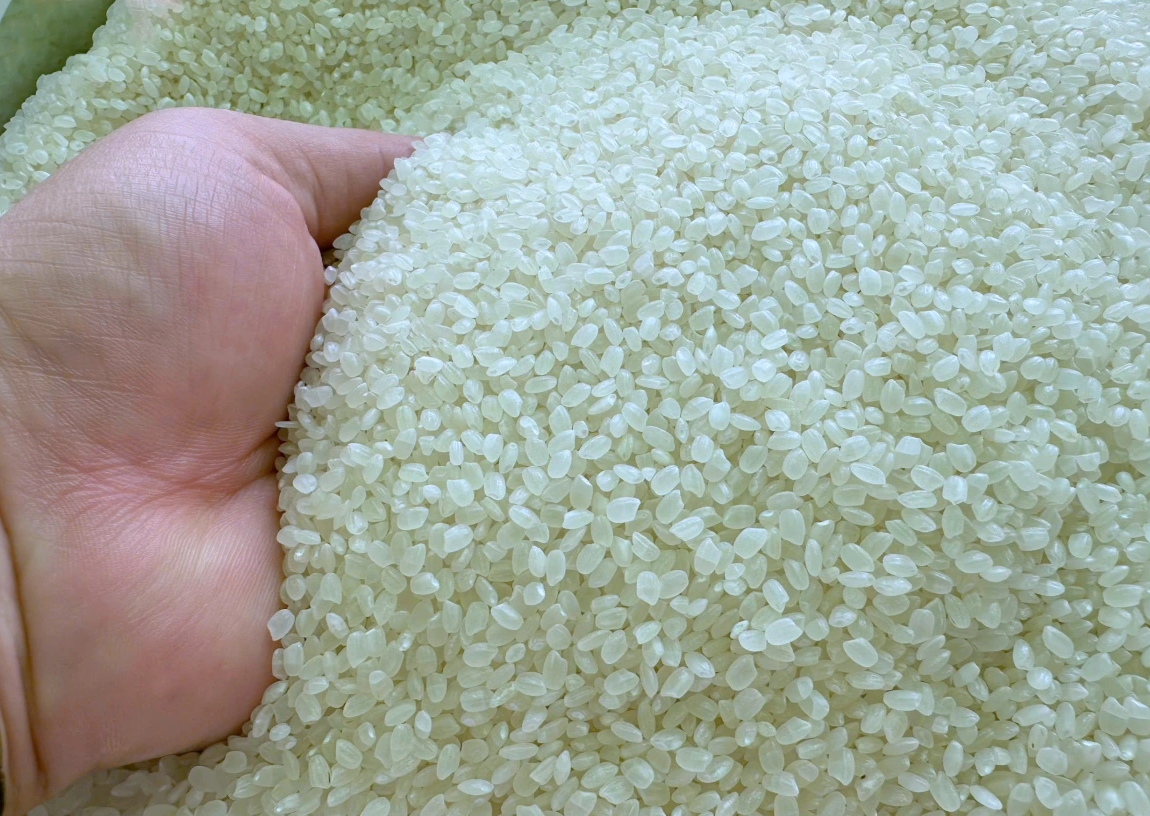 Gi&aacute; l&uacute;a gạo h&ocirc;m nay 10/2: Gi&aacute; gạo ổn định, l&uacute;a thơm tươi neo cao (Ảnh minh họa)