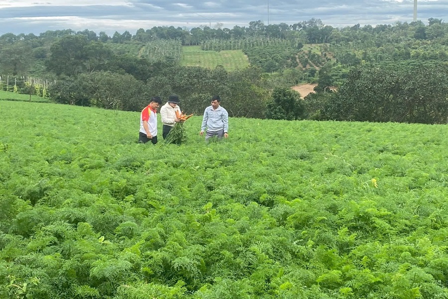 Lâm Đồng: Ngành nông nghiệp & môi trường hướng tới mục tiêu tăng trưởng hai con số