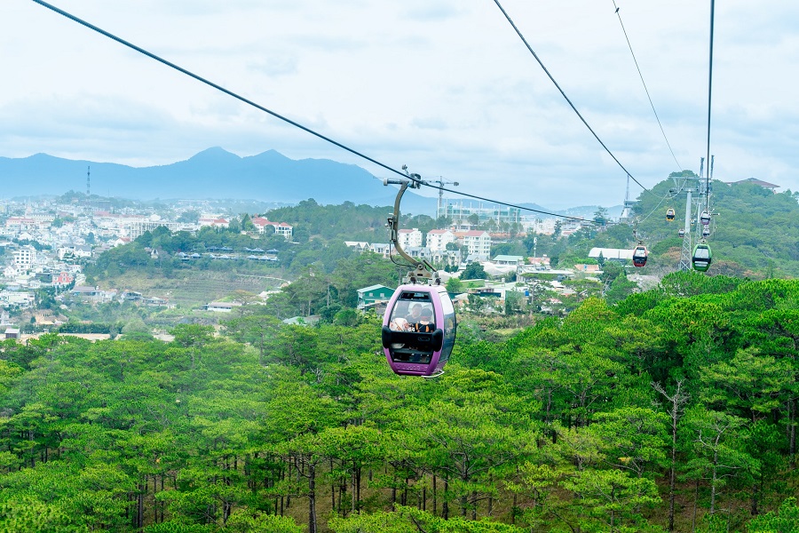 Trải nghiệm c&aacute;p treo băng xuy&ecirc;n rừng th&ocirc;ng Đ&agrave; Lạt