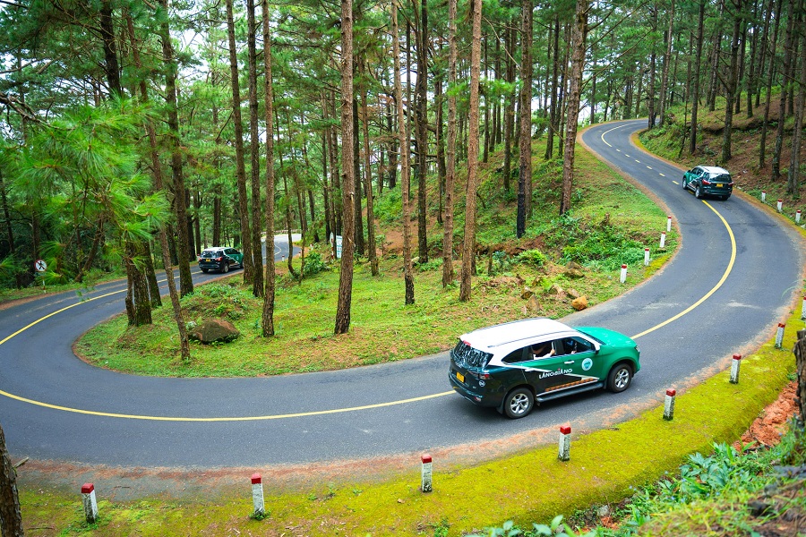 Trải nghiệm xe băng rừng th&ocirc;ng, chinh phục đỉnh Radar
