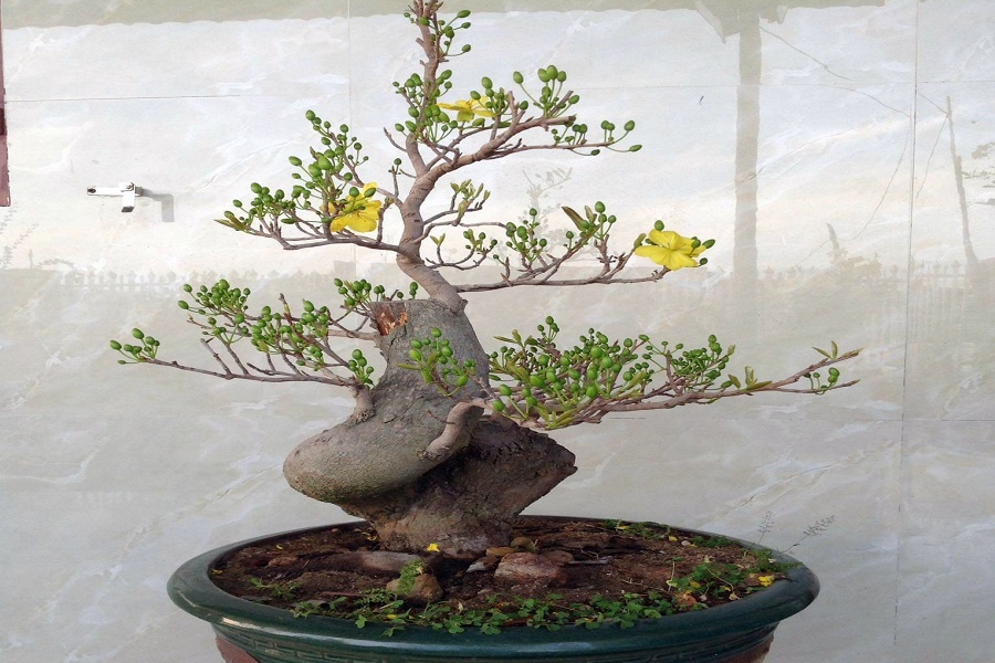 x&atilde; Li&ecirc;n Hương