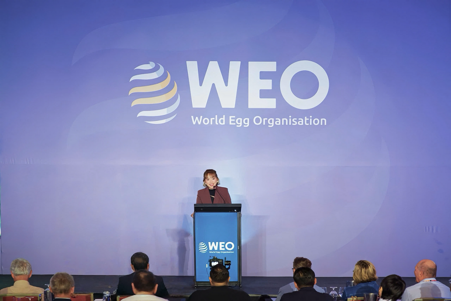 CEO Chu Thị Hồng Thủy ph&aacute;t biểu tại Diễn đ&agrave;n Trứng Thế giới (WEO)