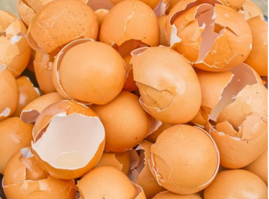 Dưỡng chất từ m&agrave;ng vỏ trứng kết hợp thảo dược gi&uacute;p hỗ trợ giảm t&igrave;nh trạng tho&aacute;i h&oacute;a khớp