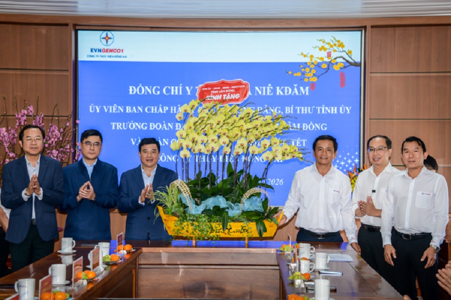 Đ/c Y Thanh H&agrave; Ni&ecirc; Kđăm &ndash; Ủy vi&ecirc;n Ban Chấp h&agrave;nh Trung ương Đảng, B&iacute; thư Tỉnh ủy, Trưởng đo&agrave;n Đại biểu Quốc hội tỉnh l&agrave;m Trưởng đo&agrave;n đ&atilde; đến thăm, ch&uacute;c Tết v&agrave; l&agrave;m việc tại C&ocirc;ng ty Thủy điện Đồng Nai.