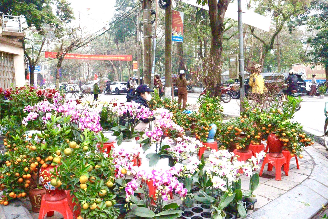 Chợ hoa được tổ chức ngay quảng trường trung t&acirc;m phường Nam Định, nằm liền kề vườn hoa cộng đồng v&agrave; đối diện bảo t&agrave;ng lịch sử văn h&oacute;a địa phương