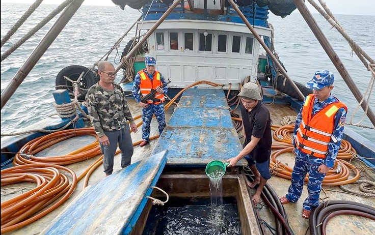 Lực lượng Cảnh sát biển phát hiện, bắt giữ 105 vụ vi phạm trong tháng 1/2026