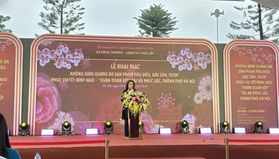 Ph&oacute; Gi&aacute;m đốc Sở C&ocirc;ng Thương H&agrave; Nội Nguyễn Kiều Oanh ph&aacute;t biểu