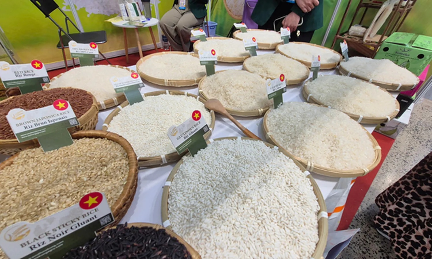 Gi&aacute; l&uacute;a gạo h&ocirc;m nay 13/2: L&uacute;a gạo giữ gi&aacute; trước Tết (Ảnh minh họa)