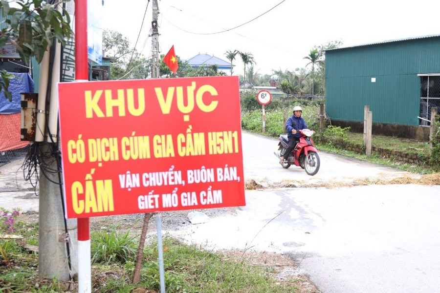 Lực lượng chức năng lập biển th&ocirc;ng b&aacute;o v&agrave; triển khai c&aacute;c biện ph&aacute;p ph&ograve;ng chống dịch