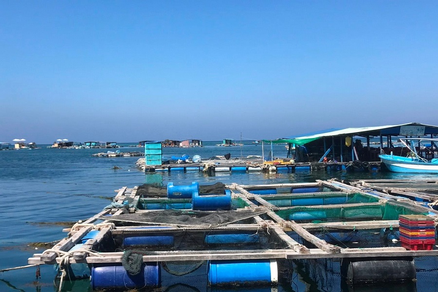Lâm Đồng chuyển hướng mạnh sang nuôi biển công nghệ cao