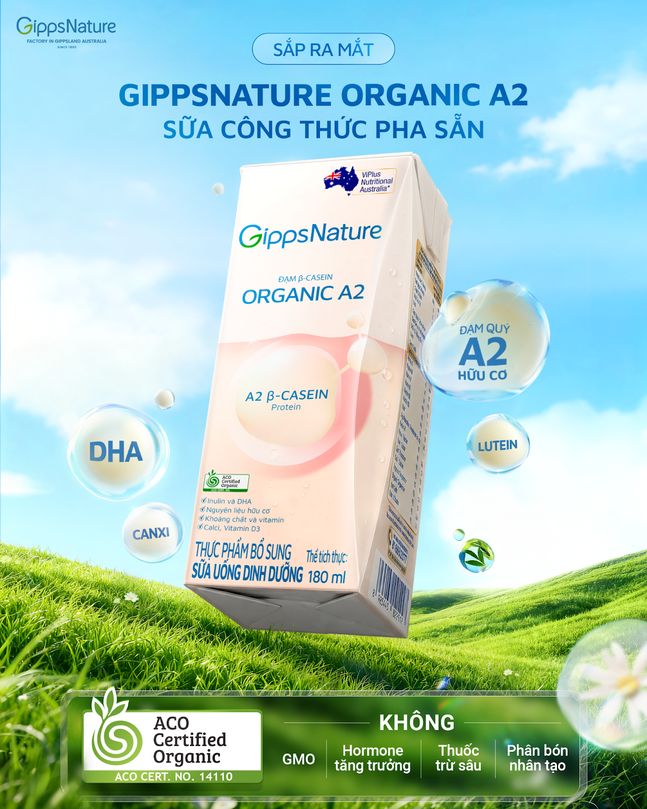 Sữa c&ocirc;ng thức pha sẵn GippsNature Organic A2 được sản xuất tr&ecirc;n d&acirc;y chuyền đạt chuẩn ACO tại Việt Nam, đ&aacute;p ứng xu hướng dinh dưỡng hiện đại: tiện lợi, an to&agrave;n v&agrave; minh bạch nguồn gốc.