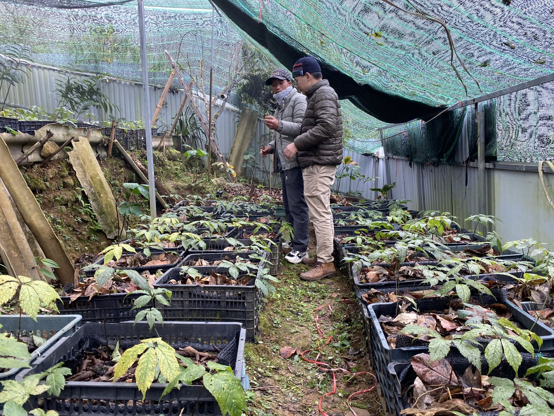 Mùa xuân Tây Bắc: Bước chuyển mình mạnh mẽ